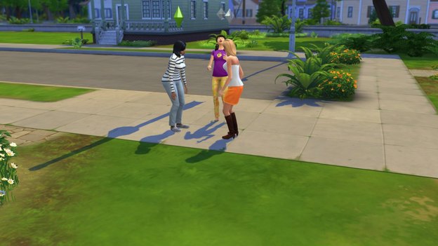 The Sims 4 Neighbors